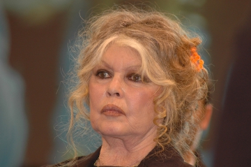 Brigitte Bardot attaque Cyril Hanouna, les choniqueurs de "TPMP" répondent